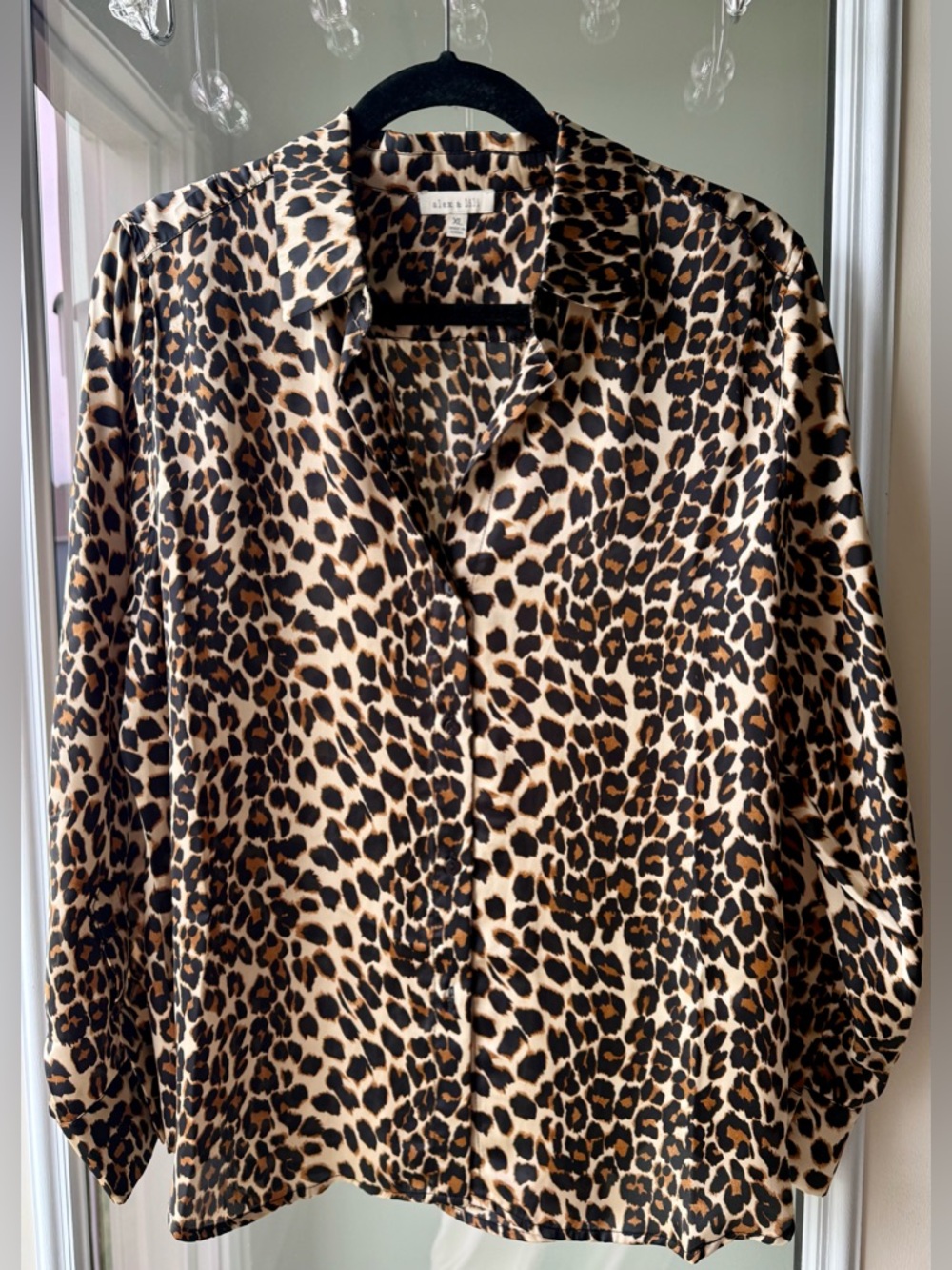 Leopard Print Button-Up Blouse in Tan and Black